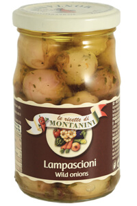 Montanini lampascioni wild onions